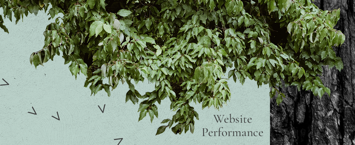 Website Performance